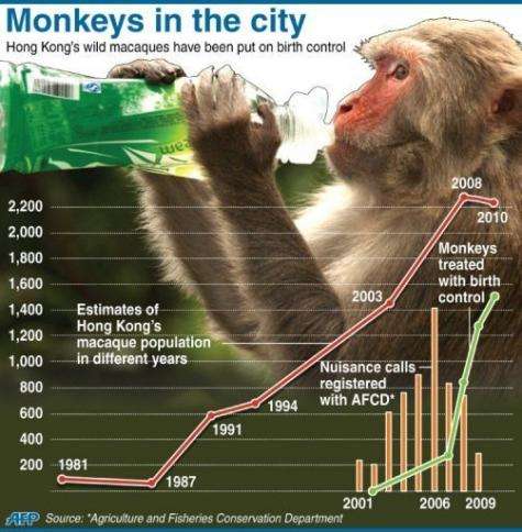 The macaque population has reached more than 2,000 in recent years