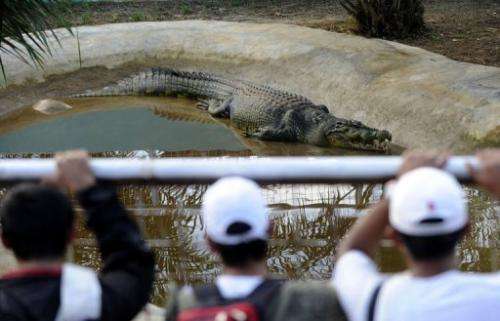 The nature park and Lolong could hopefully dispel some community fears about crocodiles