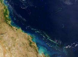 The proposed Coral Sea Commonwealth Marine Reserve off Australia's coast would cover about 990,000 square kilometres