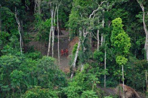 There is pressure for the Brazilian defense ministry to step up efforts to protect its "uncontacted" tribes