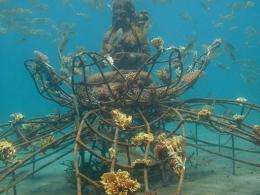 Today there are around sixty of these "cages" in Pemuteran bay