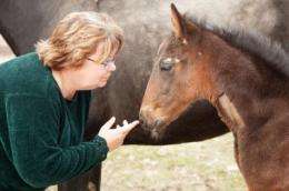 Treating newborn horses: A unique form of pediatrics