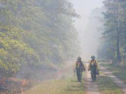 UGA study documents lung function declines in firefighters working at prescribed burns