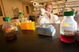 UH researchers explore treatments for breast and colon cancers
