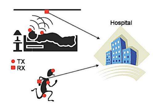 'Ultrawideband' could be future of medical monitoring