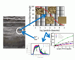 Uranium adsorption in sediments varies with respect to grain size