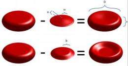 Using math and light to detect misshapen red blood cells