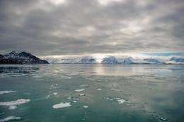 View of an Arctic fjord