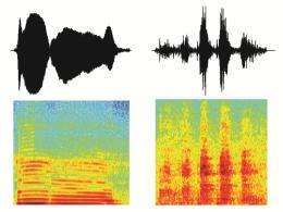 Voice cells for voice recognition