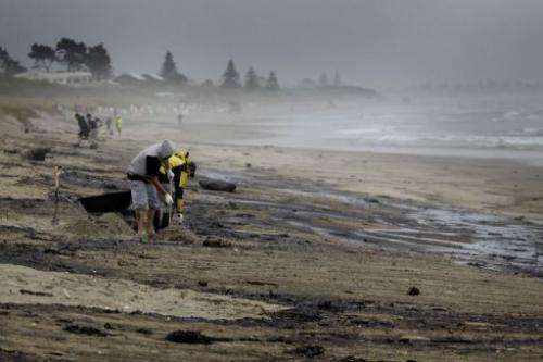 Volunteers help with the clean-up of oil from the grounded container ship 'Rena' off Papamoa beach