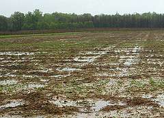 Wet spring seriously delays planting and harvesting for Pa. farmers
