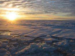 Why climate models underestimate Arctic sea ice retreat ?