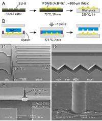 Smooth operators: Teflon microfluidic chips