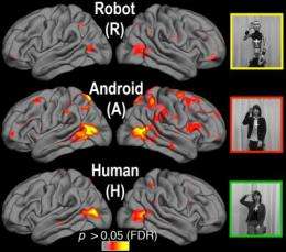 Your brain on androids