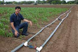 Scientist: when it comes to energy crops, do the math