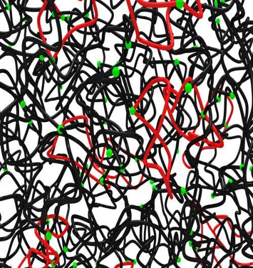 A step toward stronger polymers