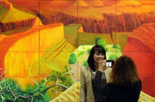 A woman takes a picture of a friend in front of a painting by David Hockney at the Guggenheim Bilbao Museum