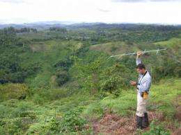 Birds do better in 'agroforests' than on farms