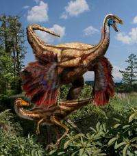 Canadian researchers discover fossils of first feathered dinosaurs from North America