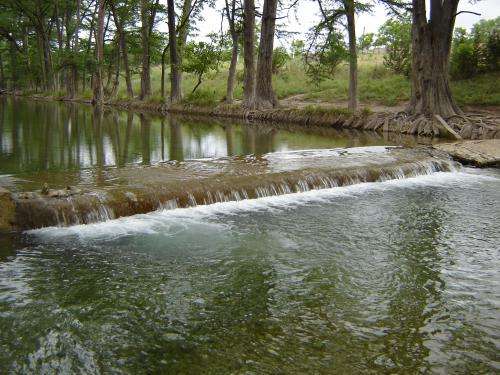 Can gray water keep Texas landscapes green?