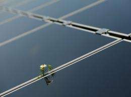 China is the world's biggest solar panel maker and the bulk of its $35.8 bn of solar exports last year went to the EU