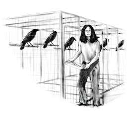 Crows react to threats in human-like way: Neural basis of crows' knack for face recognition 