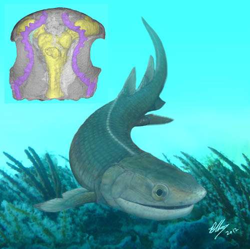 Earliest known finned tetrapod found from the Lower Devonian of China