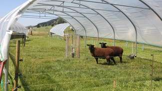 Experimenting with the effects of climate change on mountain pastures 