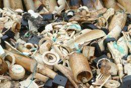 Gabonese President Ali Bongo on Wednesday set fire to five tonnes of ivory worth millions of euros