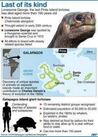 Graphic factfile on Lonesome George, the last Pinta Island giant tortoise