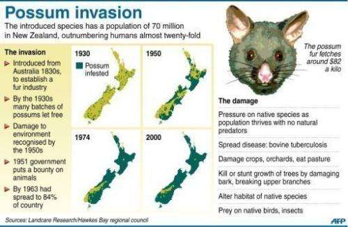 Graphic on the spread of brushtail possums throughout New Zealand