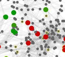 Gut microbe networks differ from norm in obese people, systems biology approach reveals