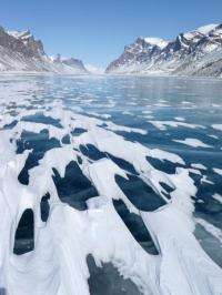 How fast can glaciers respond to climate change?