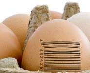 Verandas and eggshell examination could improve hen welfare