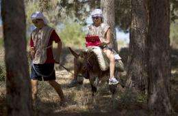Israeli biblical park outfits donkeys with Wi-Fi