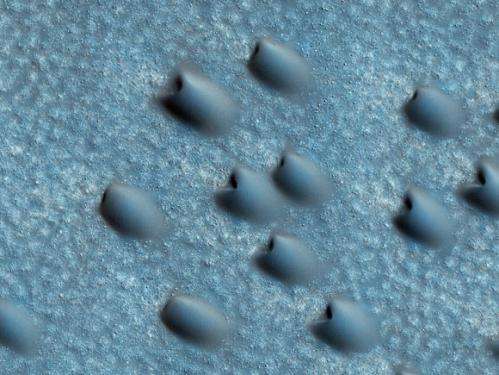 Latest from Mars: Massive polar ice cliffs, northern dunes, gullied craters