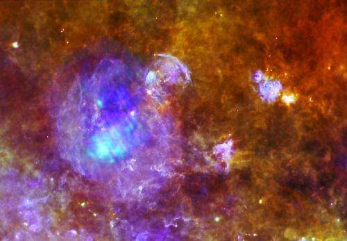 Life and death in a star-forming cloud