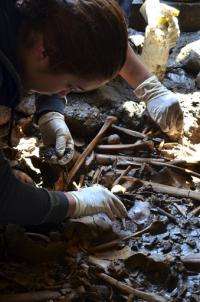 Mexico finds 100s of bones in unusual Aztec burial