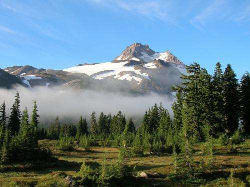Mountain meadows dwindling in the Pacific Northwest