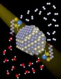 Nanocrystals and nickel catalyst substantially improve light-based hydrogen production