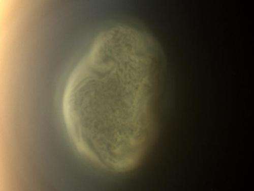 NASA's Cassini sees abrupt turn in Titan's atmosphere