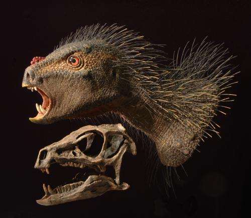 New fanged dwarf dinosaur from southern Africa, ate plants