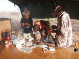 New Kenyan fossils shed light on early human evolution