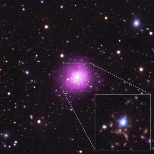 Phoenix cluster sets record pace at forming stars