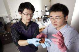 Process makes polymers truly plastic