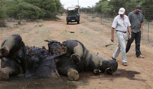 Rhino killings for horns rapidly rise in S. Africa