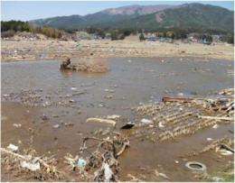 Science to help rice growers affected by Japan's tsunami