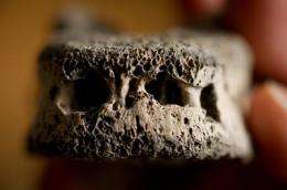 Scientists crack medieval bone code