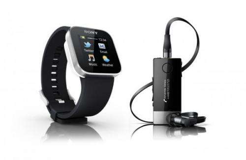 Sony straps on Internet-linked wristwatch