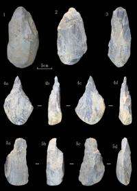 Stone artifacts with handaxes and picks found in Danjiangkou reservoir area, China